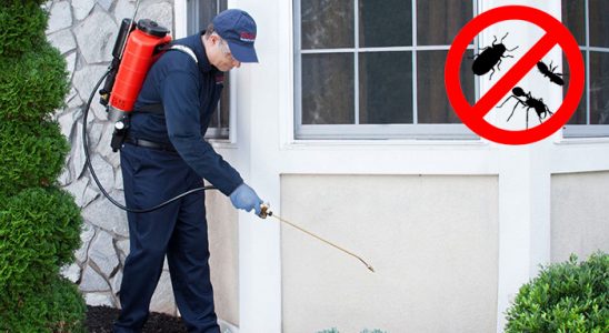 Kumluca Böcek ve Haşere İlaçlama böcek ilaçlama ve haşere kontrolü — ilaclama-tr.com